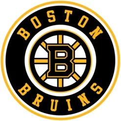 NHL Boston Bruins Official Licensed Bathrobe By Sweet Home Collection -Cozy Nights Sales Store GUEST 82e79940 6880 4c60 838c bb48718127e2