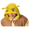 DreamWorks Shrek Mens' Movie Film Costume Footless Sleep Union Suit Multicolored
